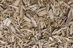 biomass boilers Llangennith